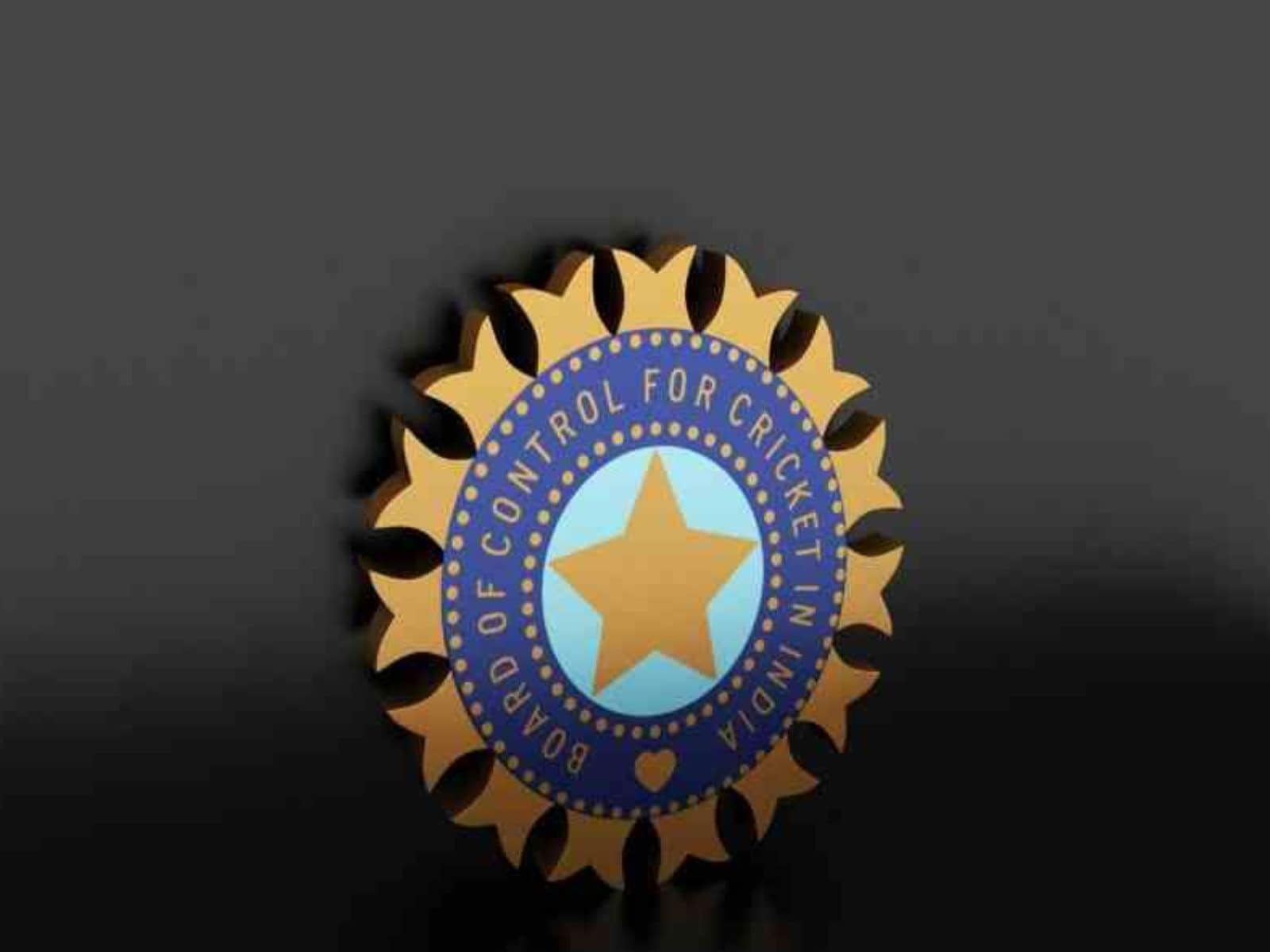 BCCI forms committee for differently-abled cricketers