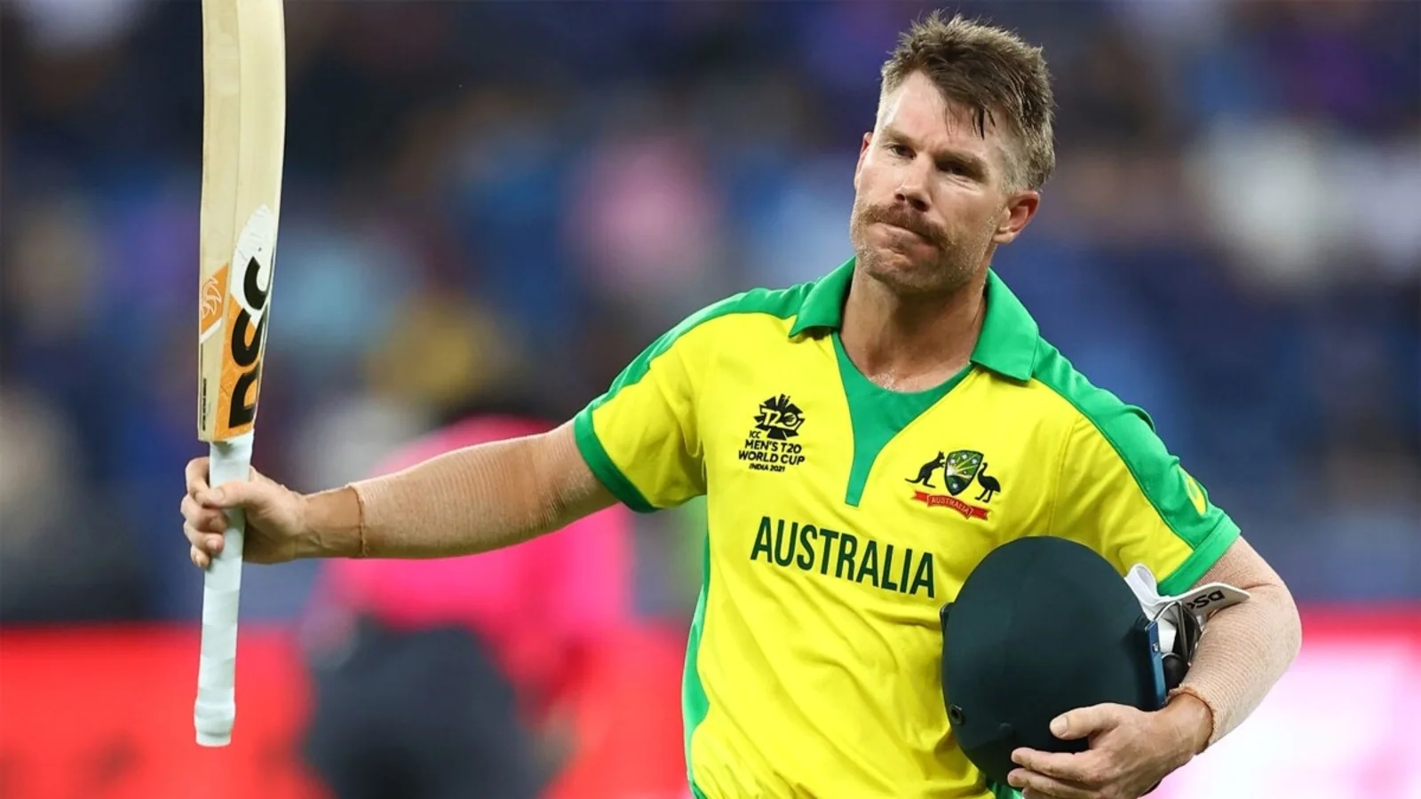 David Warner, Hayley Matthews named ICC Player of the Month for November